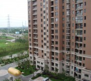 小區(qū)環(huán)境