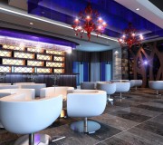 廣東創(chuàng)宇投資有限公司水吧區(qū)