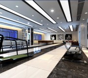 廣東創(chuàng)宇投資有限公司健身房